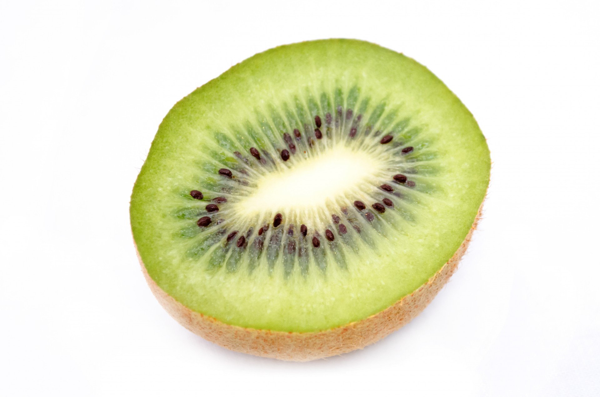 Kiwi Free Stock Photo - Public Domain Pictures